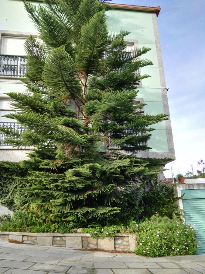 Pisos Vistalegre 2B Con Jardin Cerca Del Mar Apartment Sanxenxo Ngoại thất bức ảnh